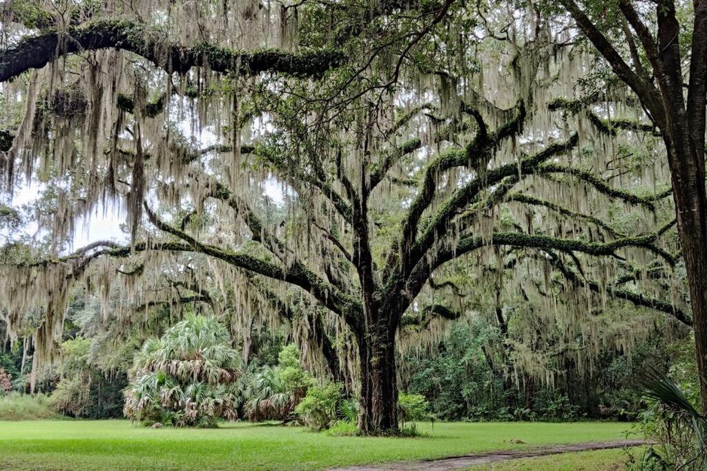 Вілла Jekyll Island House/ Kellys On The Coast /King Bed Екстер'єр фото